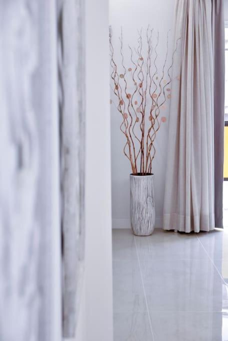 Nice Studio By The Sea 푸에르토 드 라 크루즈 외부 사진